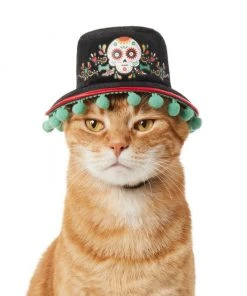 Frisco Day of the Dead Dog & Cat Hat -PetNest Shop 334496 PT2. SY630 V1658367627