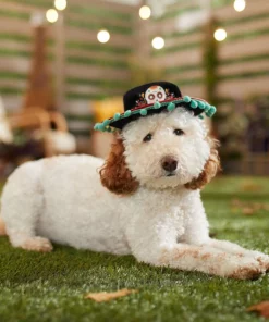 Frisco Day of the Dead Dog & Cat Hat -PetNest Shop 334496 PT6. SY630 V1657719482