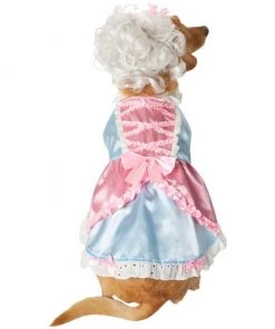 Frisco 18th Century Dog & Cat Dress Costume -PetNest Shop 334767 PT3. SY630 V1658368065