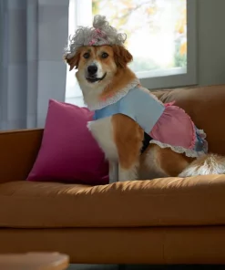 Frisco 18th Century Dog & Cat Dress Costume -PetNest Shop 334767 PT7. SY630 V1657656879