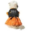 Frisco Boo Dog & Cat Dress -PetNest Shop 334825 MAIN. SY630 V1658368910