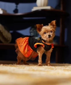 Frisco Boo Dog & Cat Dress -PetNest Shop 334825 PT7. SY630 V1657722650