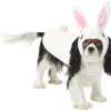 Frisco Bunny Dog & Cat Costume -PetNest Shop 334834 MAIN. SY630 V1658368687