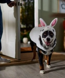Frisco Bunny Dog & Cat Costume -PetNest Shop 334834 PT7. SY630 V1657718231
