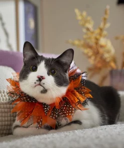 Frisco Cat Collar Ruffle Costume Accessory, One Size -PetNest Shop 334842 PT7. SY630 V1657656879