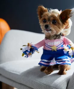 Frisco Cheerleader Dog & Cat Costume -PetNest Shop 334849 PT7. SY630 V1657719482