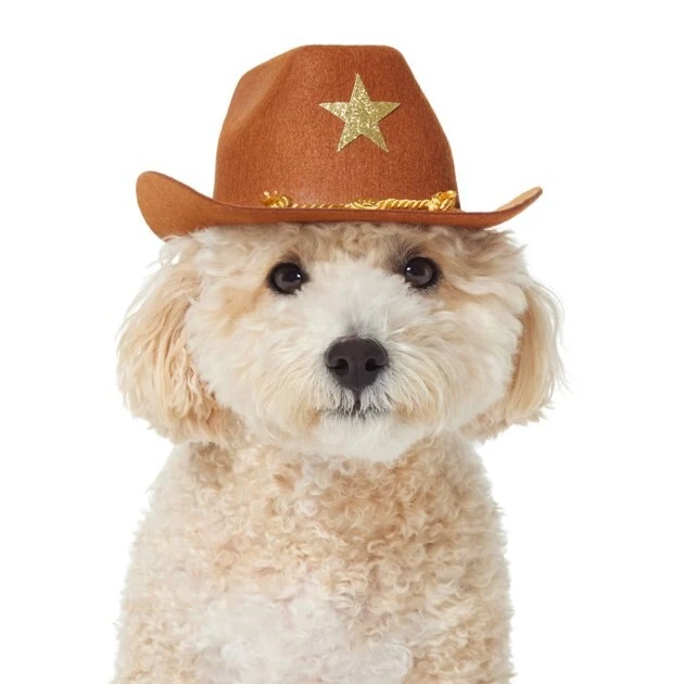 Frisco Cowboy Dog & Cat Costume Hat 3 Frisco Cowboy Dog & Cat Costume Hat