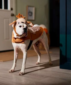 Frisco Deer Dog & Cat Costume -PetNest Shop 334873 PT7. SY630 V1659035214