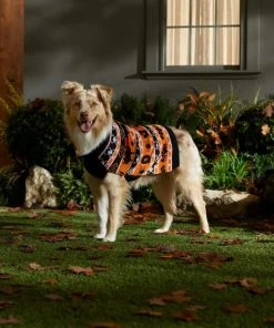 Frisco Fair Isle Pumpkin Dog & Cat Sweater 14 Frisco Fair Isle Pumpkin Dog & Cat Sweater -PetNest Shop 334922 PT7. SY630 V1659984178