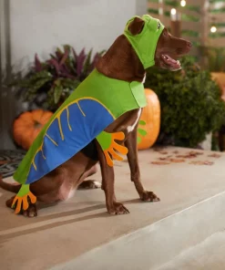 Frisco Frog Dog & Cat Costume -PetNest Shop 334946 PT7. SY630 V1658150709