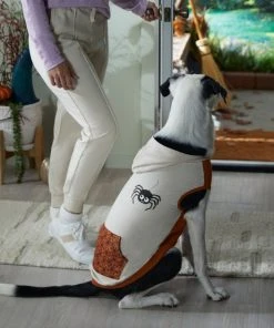 Frisco Happy Spider Dog & Cat Hoodie -PetNest Shop 334957 PT7. SY630 V1657721208