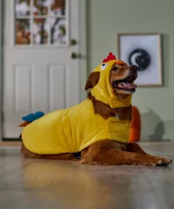 Frisco Rooster Dog & Cat Costume -PetNest Shop 334997 PT7. SY630 V1657656881