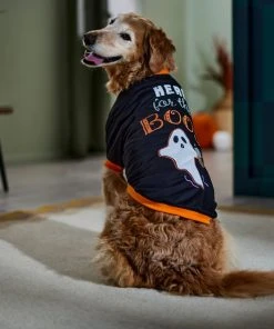 Frisco Here for the Boos Dog & Cat T-Shirt 12 Frisco Here for the Boos Dog & Cat T-Shirt -PetNest Shop 335004 PT7. SY630 V1657657478