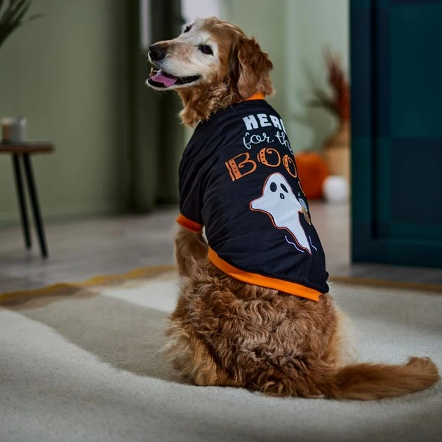 Frisco Here for the Boos Dog & Cat T-Shirt 7 Frisco Here for the Boos Dog & Cat T-Shirt - Image 5