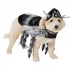 Frisco Spider Dog & Cat Costume 1 Frisco Spider Dog & Cat Costume -PetNest Shop 335012 MAIN. SY630 V1658716905