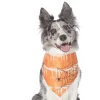 Frisco Orange Spiderweb Dog & Cat Costume Bandana -PetNest Shop 335045 MAIN. SY630 V1658716393