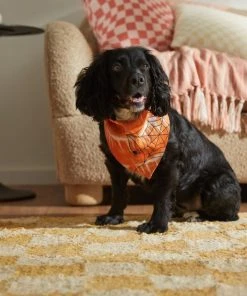 Frisco Orange Spiderweb Dog & Cat Costume Bandana -PetNest Shop 335045 PT6. SY630 V1657731485