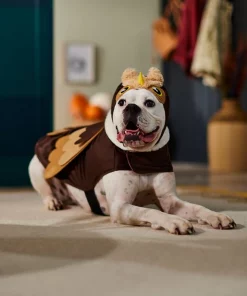 Frisco Owl Dog & Cat Costume -PetNest Shop 335049 PT7. SY630 V1657718971