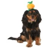 Frisco Pumpkin Headband Dog & Cat Costume Accessory 1 Frisco Pumpkin Headband Dog & Cat Costume Accessory -PetNest Shop 335090 MAIN. SY630 V1658349060