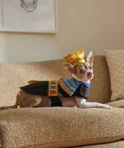 Frisco Royal Pharoah Dog & Cat Costume -PetNest Shop 335113 PT7. SY630 V1659537098