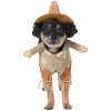 Frisco Front Walking Scarecrow Dog & Cat Costume -PetNest Shop 335133 MAIN. SY630 V1658342827