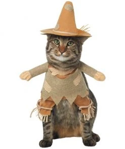 Frisco Front Walking Scarecrow Dog & Cat Costume 12 Frisco Front Walking Scarecrow Dog & Cat Costume -PetNest Shop 335133 PT2. SY630 V1658348508