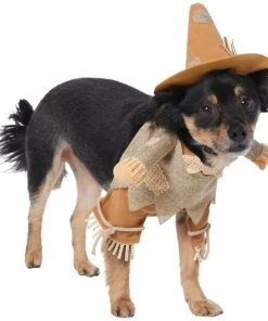 Frisco Front Walking Scarecrow Dog & Cat Costume 13 Frisco Front Walking Scarecrow Dog & Cat Costume -PetNest Shop 335133 PT3. SY630 V1658349119