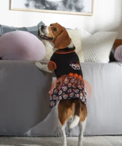 Frisco Sweet & Spooky Ruffle Skull Dog & Cat Dress -PetNest Shop 335161 PT7. SY630 V1657656882