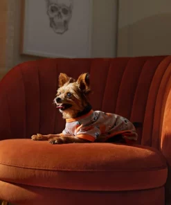 Frisco Spooky Printed Dog & Cat Jersey PJs -PetNest Shop 335170 PT7. SY630 V1657730462