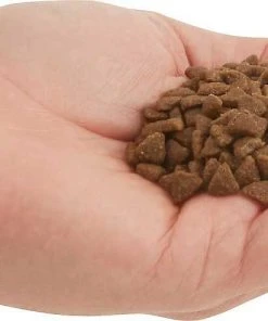 ACANA||Frisco ACANA First Feast Kitten Dry Cat Food + Frisco Multi-Cat Unscented Clumping Clay Litter -PetNest Shop 338643 PT3. SY630 V1635909934