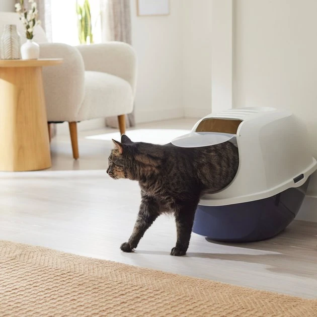 Frisco Modern Hooded Cat Litter Box