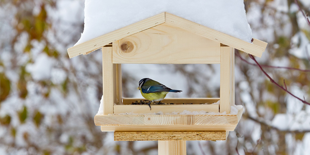 Gazebo Parts Direct Sales Store -PetNest Shop banner761